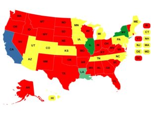 statebystategoodlg729